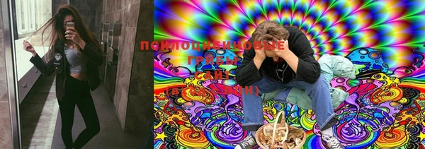 MESCALINE Арсеньев