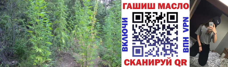 Дистиллят ТГК вейп  мориарти официальный сайт  Судогда 